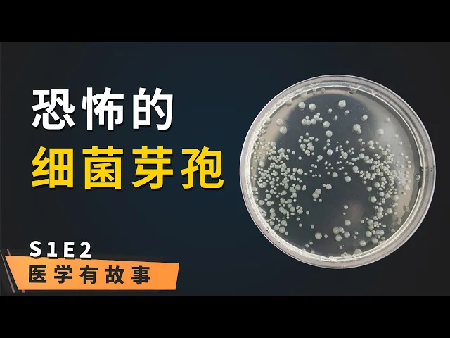 等待时机 丨 《医学有故事》第2集: 恐怖的细菌芽孢